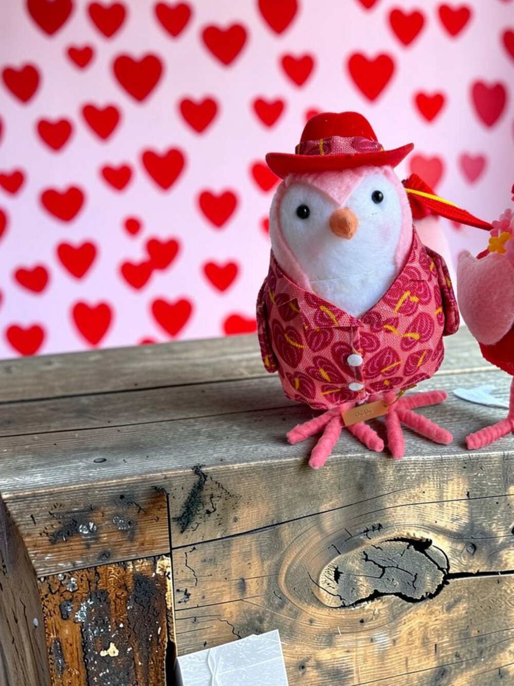 Target Spritz Birds Featherly Friends 2020 Valentines Yucca & Fuchsia - Picture 4 of 7